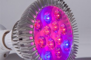 mars-hidro-led-grow-light-par-38_副本